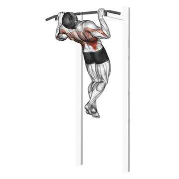 Animated demonstration: rocky pull-up pulldown — target lats