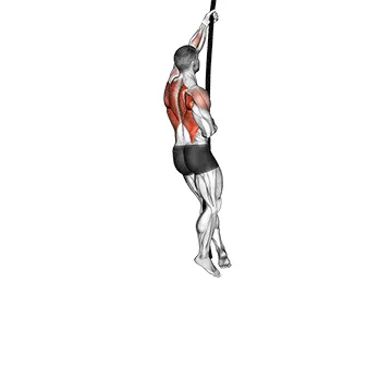 Animated demonstration: rope climb — target upper back