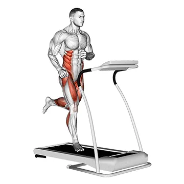 Animated demonstration: run (equipment) — target cardiovascular system