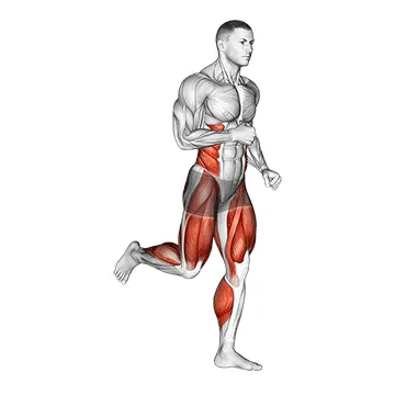 Animated demonstration: run — target cardiovascular system