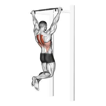 Animated demonstration: scapular pull-up — target traps