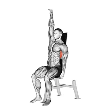 Animated demonstration: seated lower back stretch — target lats