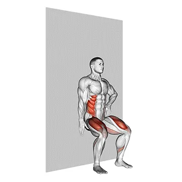 Animated demonstration: seated side crunch (wall) — target abs