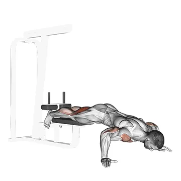 Animated demonstration: self assisted inverse leg curl — target hamstrings