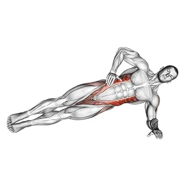 Animated demonstration: side bridge v. 2 — target abs