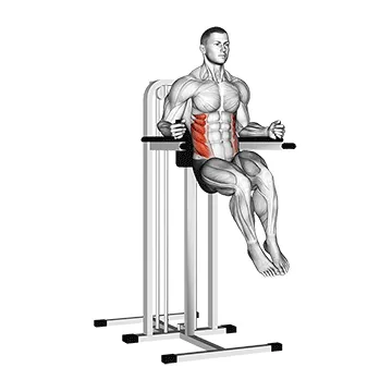 Animated demonstration: side hip (on parallel bars) — target abs