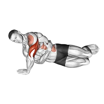 Animated demonstration: side push-up — target triceps
