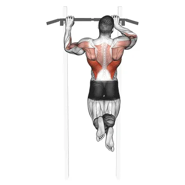 Animated demonstration: side-to-side chin — target lats