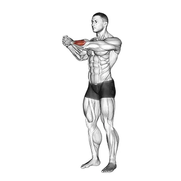 Animated demonstration: side wrist pull stretch — target forearms