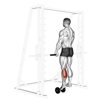 Animated demonstration: single leg calf raise (on a dumbbell) — target calves