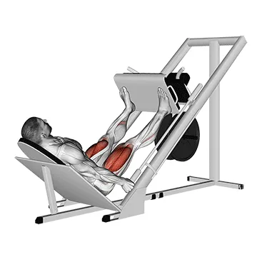 Animated demonstration: sled 45в° leg wide press — target glutes