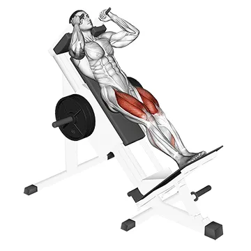 Animated demonstration: sled closer hack squat — target glutes