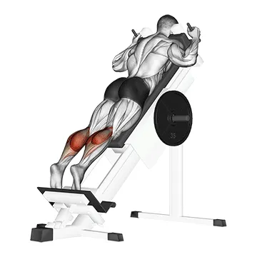 Animated demonstration: sled forward angled calf raise — target calves
