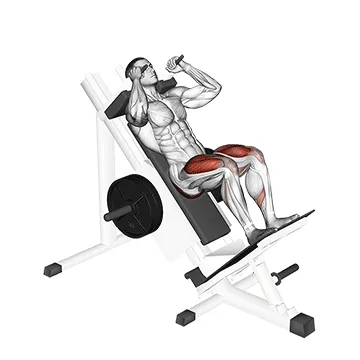 Animated demonstration: sled hack squat — target glutes