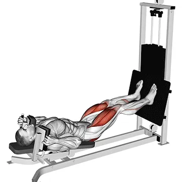 Animated demonstration: sled lying squat — target glutes