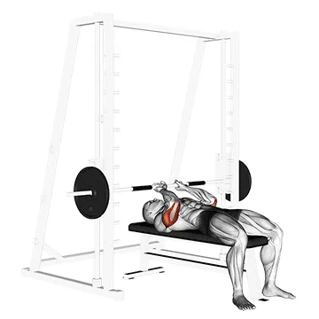 Animated demonstration: smith close-grip bench press — target triceps