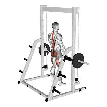 Animated demonstration: smith deadlift — target glutes