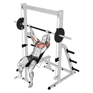 Animated demonstration: smith incline bench press — target pectorals