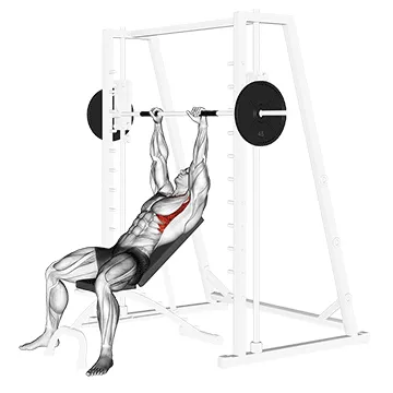 Animated demonstration: smith incline shoulder raises — target serratus anterior