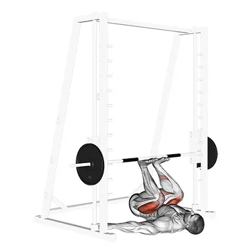 Animated demonstration: smith leg press — target glutes