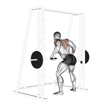 Animated demonstration: smith rear delt row — target delts