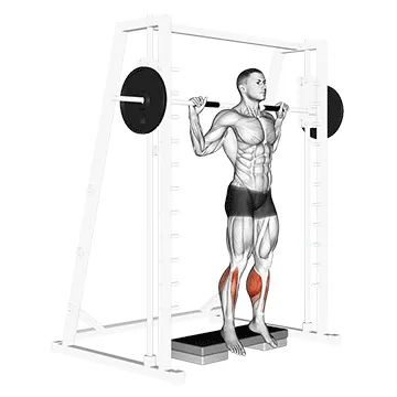 Animated demonstration: smith reverse calf raises — target calves