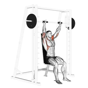 Animated demonstration: smith seated shoulder press — target delts