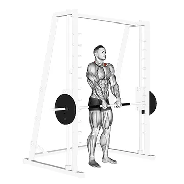 Animated demonstration: smith shrug — target traps