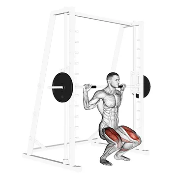 Animated demonstration: smith squat — target glutes