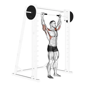 Animated demonstration: smith standing behind head military press — target delts