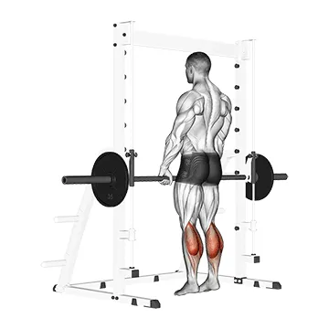 Animated demonstration: smith standing leg calf raise — target calves