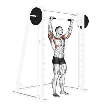 Animated demonstration: smith standing military press — target delts