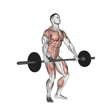 Animated demonstration: snatch pull — target quads