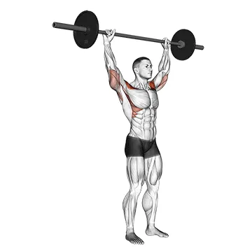Animated demonstration: standing behind neck press — target delts