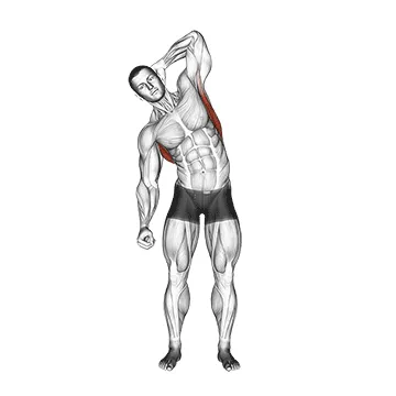 Animated demonstration: standing lateral stretch — target lats