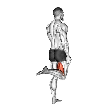Animated demonstration: standing single leg curl — target hamstrings