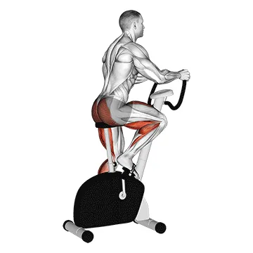 Animated demonstration: stationary bike walk — target cardiovascular system