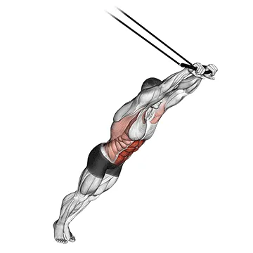 Animated demonstration: suspended abdominal fallout — target abs