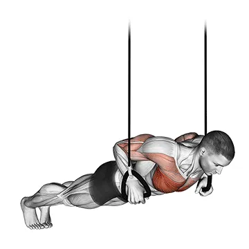 Animated demonstration: suspended push-up — target pectorals