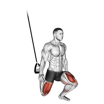 Animated demonstration: suspended split squat — target quads
