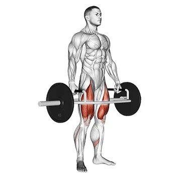 Animated demonstration: trap bar deadlift — target glutes