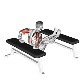 Animated demonstration: triceps dip (bench leg) — target triceps