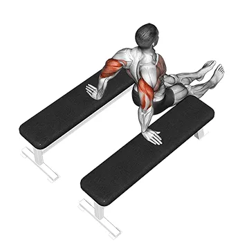 Animated demonstration: triceps dip (between benches) — target triceps
