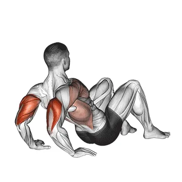 Animated demonstration: triceps dips floor — target triceps