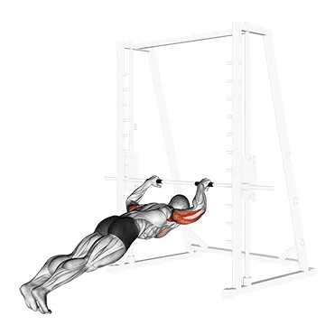 Animated demonstration: triceps press — target triceps