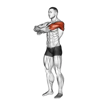 Animated demonstration: triceps stretch — target triceps