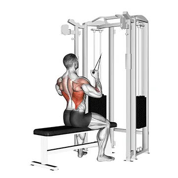Animated demonstration: twin handle parallel grip lat pulldown — target lats