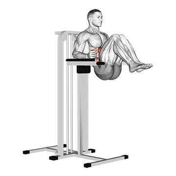 Animated demonstration: vertical leg raise (on parallel bars) — target abs