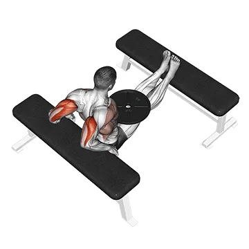 Animated demonstration: weighted bench dip — target triceps