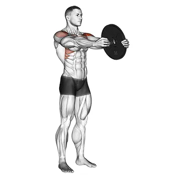 Animated demonstration: weighted front raise — target delts